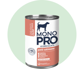 Cibo umido per cani